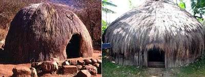 Rumah tradisional Zulu, Afrika  Selatan dengan Rumah Honai Papua