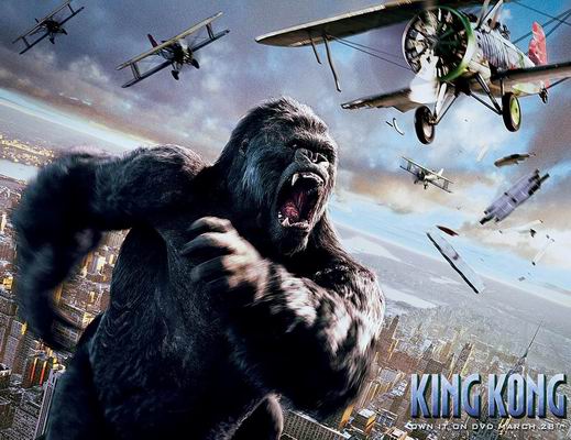 Inilah Sebabnya King Kong Digunakan Untuk Nama Kera 